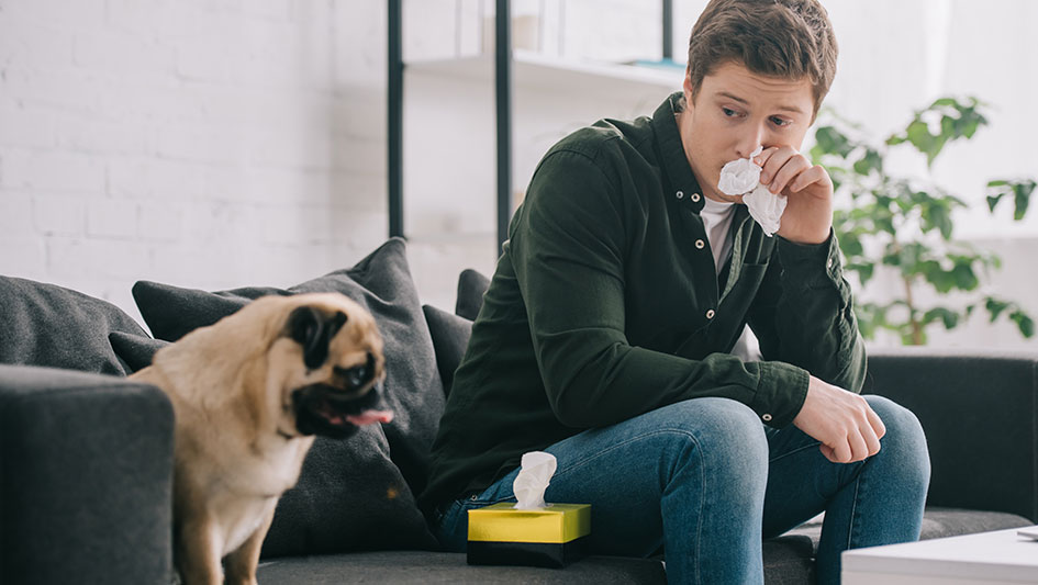 Getting an air purifier is one of the best methods to improve your house’s indoor air quality. Discover more about the three smartest products. 